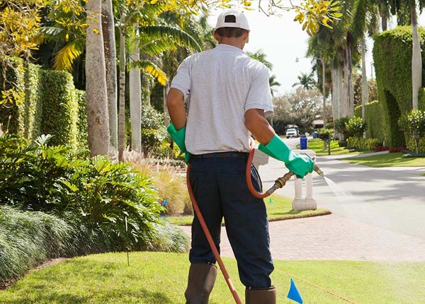 About Eureka UT Pest Control